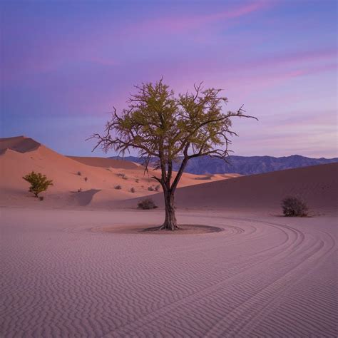 77 Beautiful Aesthetic Quotes That Will Inspire You - Daily Quotify