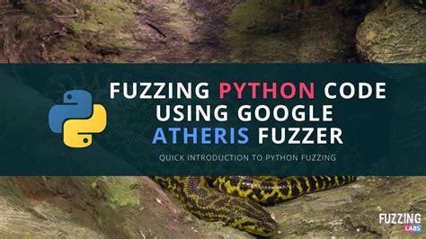 Image result for Fuzz Library Python