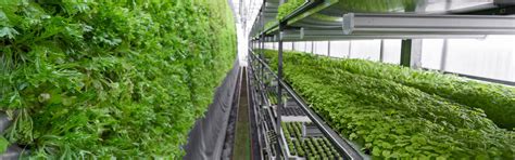 Agriculture and Farming - GF Industry and Infrastructure Flow Solutions