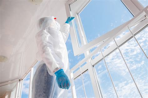 Pest Control In Spanish