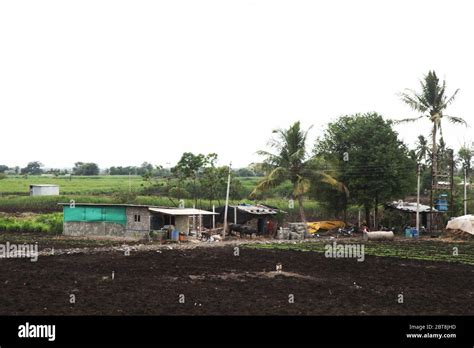 Village 的图像结果