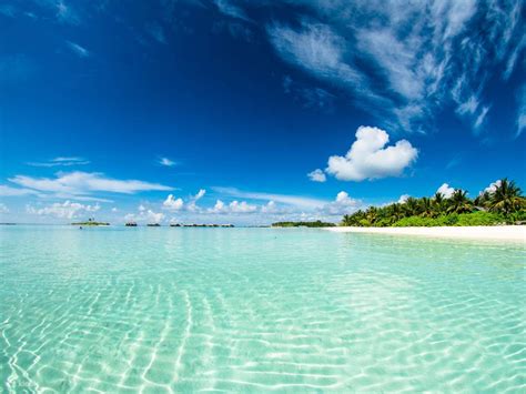 Pattaya: Private Speedboat 2-4 Islands Hopping with Lunch - Klook India