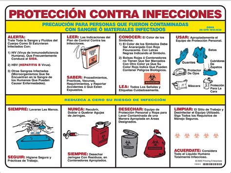 Spanish Learning Lab Lessons 的图像结果