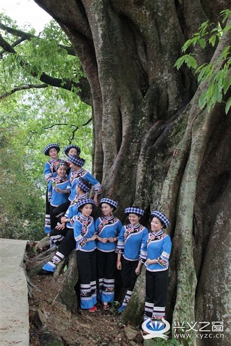 贵州安顺镇宁布依族六月六，热情、好客，这是传统的布依族文化精髓