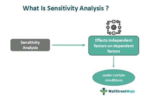 Image result for Sensitivity Analysis Problem