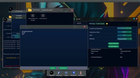 Hacking Simulation 的图像结果