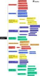 Mind Map: Fractions and Decimals - Mathematics (Maths) Class 7 (Old ...