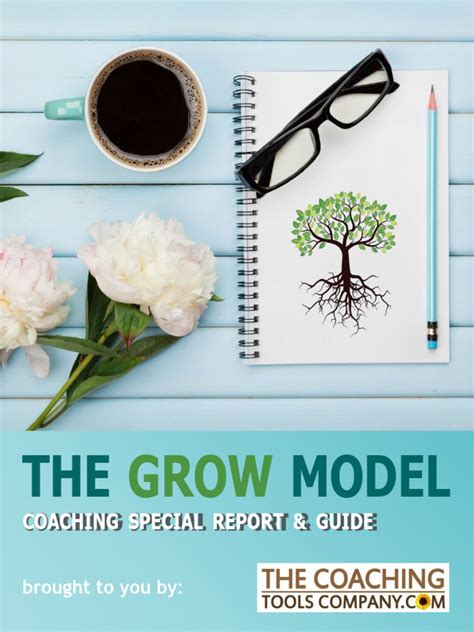 Image result for A Coaching Conversation Using the Grow Model