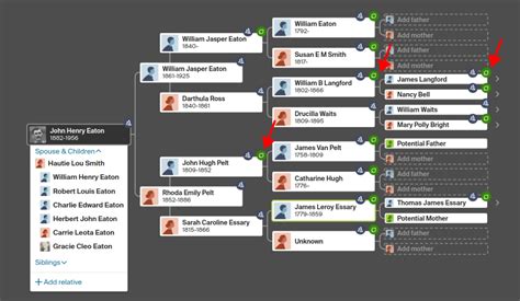 Image result for How to Create Ancestry Database