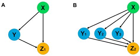 Life | Free Full-Text | Modeling the Flowering Activation Motif during Vernalization in Legumes ...