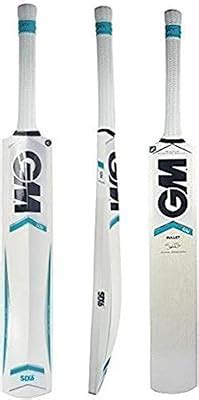 GM Men's Six6 505 English Willow Short Handle Cricket Bat : Amazon.in ...