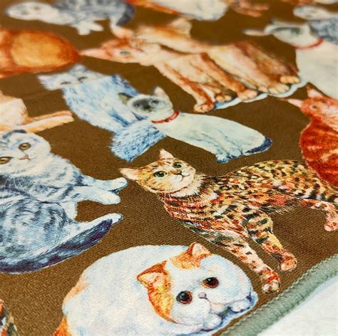 Image result for The String Instruments