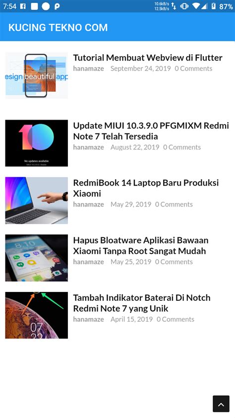 Flutter Webview Tutorial 的图像结果