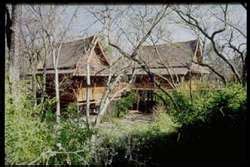 ZooLex Exhibit - ExxonMobil Endangered Tiger Habitat