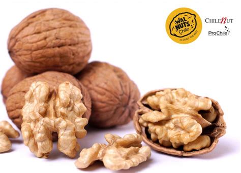 Walnuts from Chile launched in India - Farmer News: Government Schemes ...