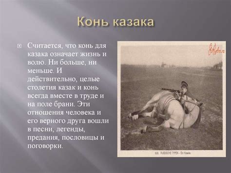 Верный друг казака - презентация онлайн
