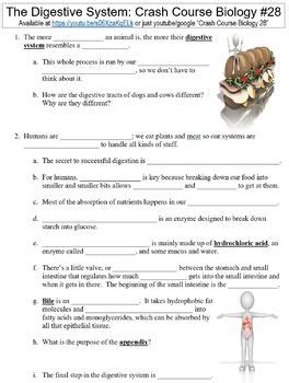 Digestive System Crash Course 的图像结果