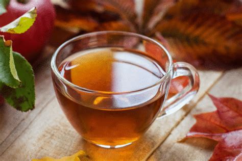 Cranberry Apple Tea Recipe: How to Make Cranberry Apple Tea Recipe ...