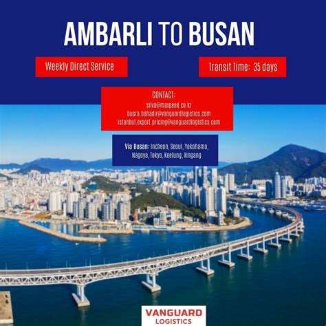 Vanguard Logistics Services Türkiye on LinkedIn: #export