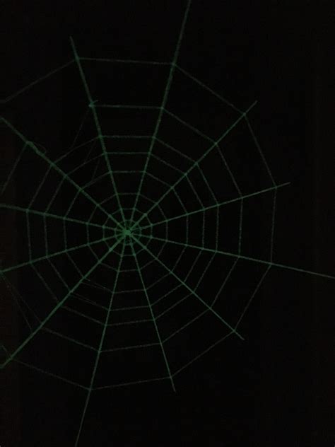 Image result for Realistic Spider Web