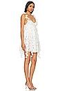 For Love & Lemons Bellatrix Mini Dress in White | REVOLVE