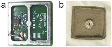 A Novel 12-Lead ECG T-Shirt with Active Electrodes