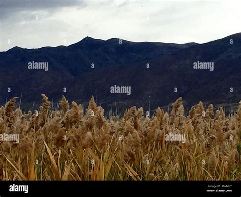 Wasatch Front 的图像结果