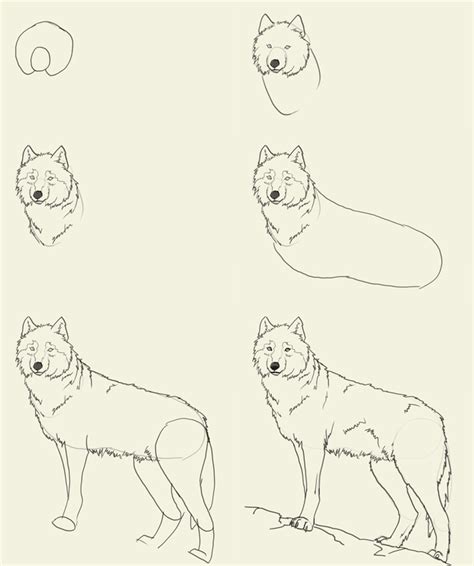 Image result for Wolf Tutorial