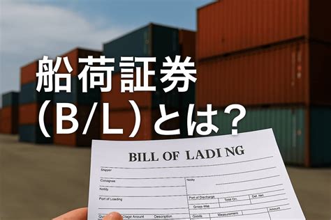 Image result for Alien Number On Work Authorization Card