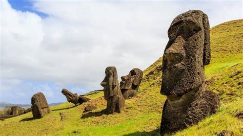 Image result for Alien Theory S12 FR