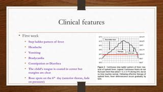 Step Ladder Fever 的图像结果