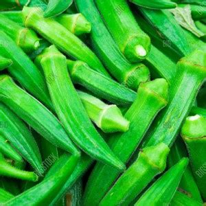 SREE Okra Seed, Vindi Organic Seed, Lady Finger Hybird Seed Price in ...