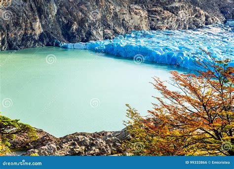 Grey Glacier, Patagonia, Chile Stock Photo - Image of frozen, andean ...
