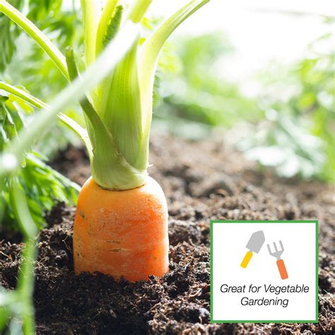 Lime Vegetable Garden Soil Dolomite Lime Vs. Garden Lime: Differences