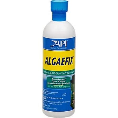 Image result for How to Use API AlgaeFix