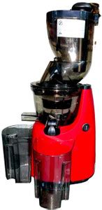 Tlismi Professional Cold Press Portable Slow Juicer Machine |All-in-1 ...