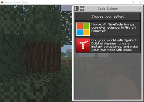 Image result for Minecraft Hoem Coding