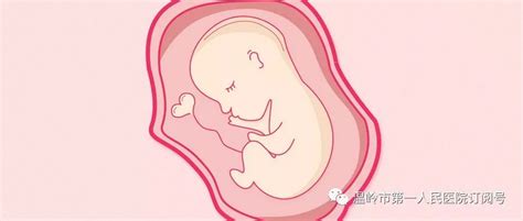 孕29周产检，血糖复查，B超胎儿偏小一周多，医生这样说-孕期闲聊-备孕怀孕-重庆购物狂
