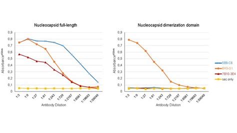 Anti-SARS-CoV-2 nucleocapsid Antibody, clone 6H3-G1 | MABF2787-100UG
