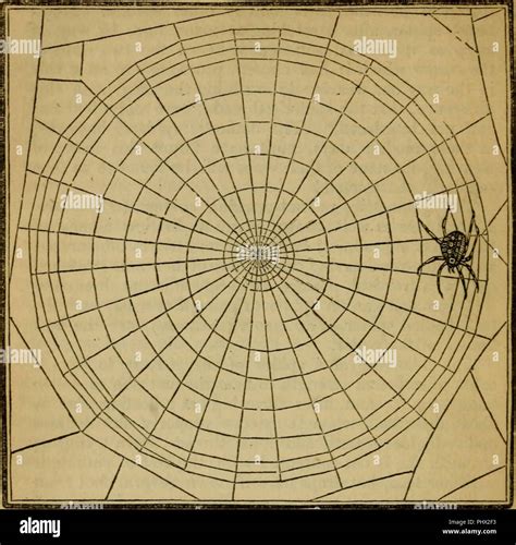 "Insect architecture : to which are added, miscellanies, on the ravages, the preservation for ...
