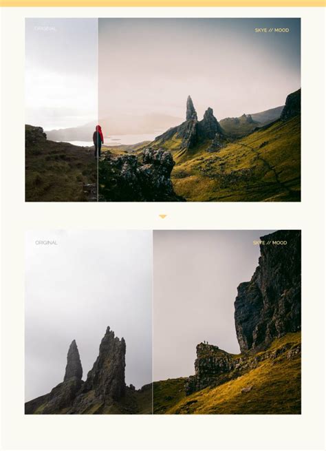 Lightroom Collection Set 的图像结果