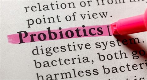 Probiotics for Candida: What You Need to Know - HealthierU