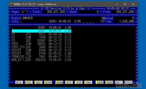 Image result for MS-DOS Video Player