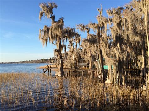 Houses For Sale On Lake Santa Fe Florida at Zane Hodge blog