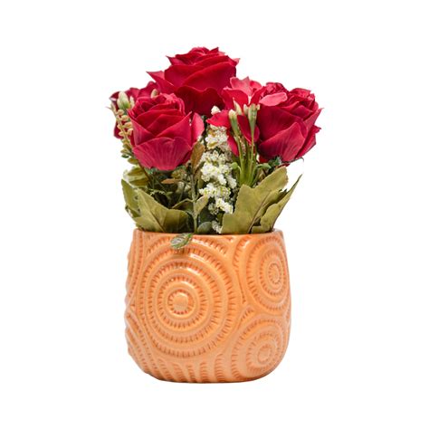 Dark Red Roses With Brown Pot - Market99 – MARKET99