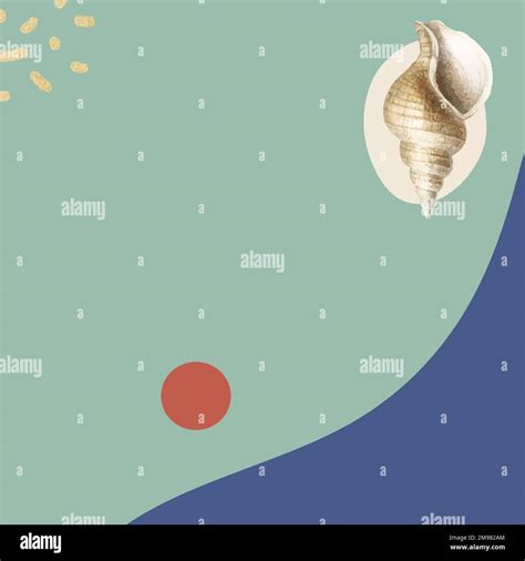 Image result for Dream Conch Shell Pattern