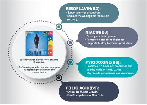 Vitamins and minerals act as cofactors for repairing muscle tissue and ...