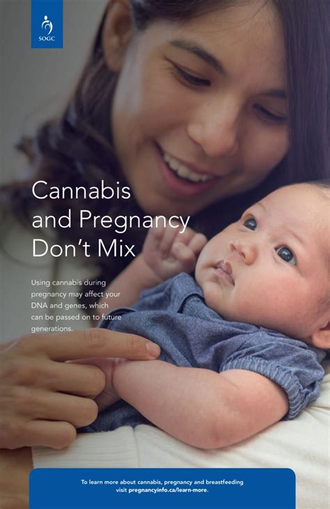 Cannabis and Pregnancy Don’t Mix (Poster #2) – Pregnancy Info