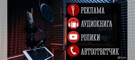 Озвучка текста (реклама,видео,аудиокнига) Диктор в Новосибирске ...