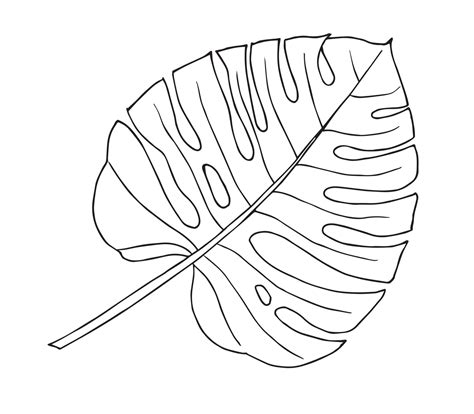 Tropical Plants Drawing